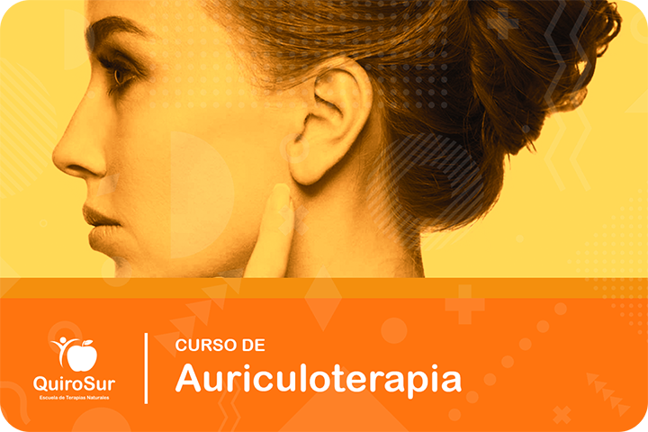 Curso De Auriculoterapia | Belén Recio